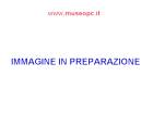 inpreparazione_1.jpg